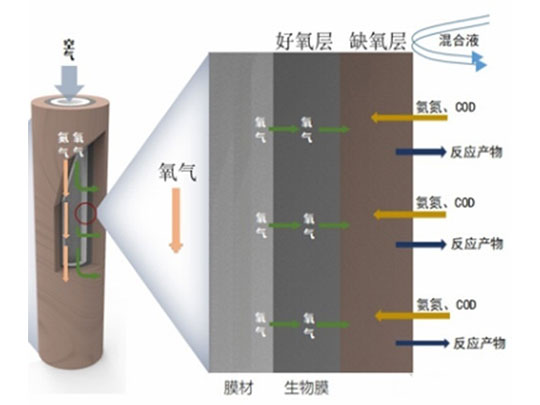 曝氣填料